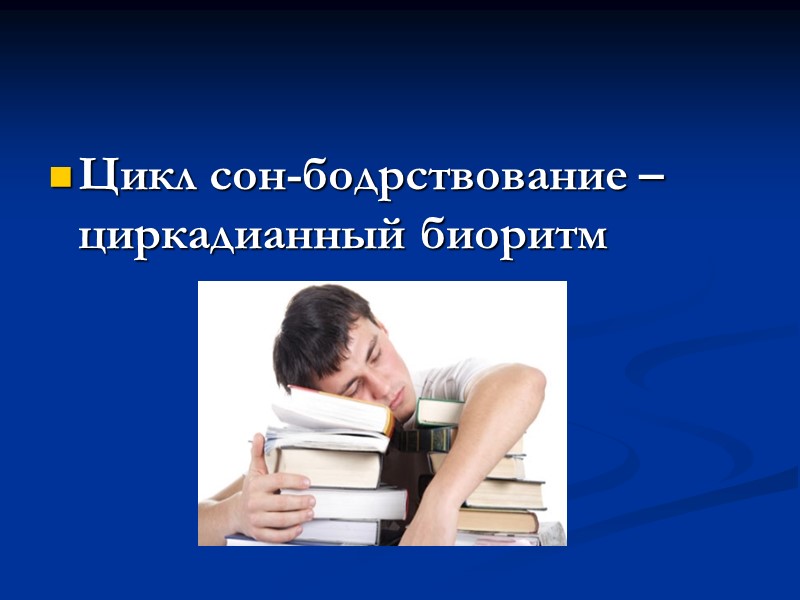Цикл сон-бодрствование – циркадианный биоритм